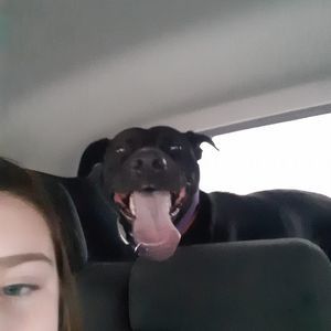 Meet your Posher, Jill